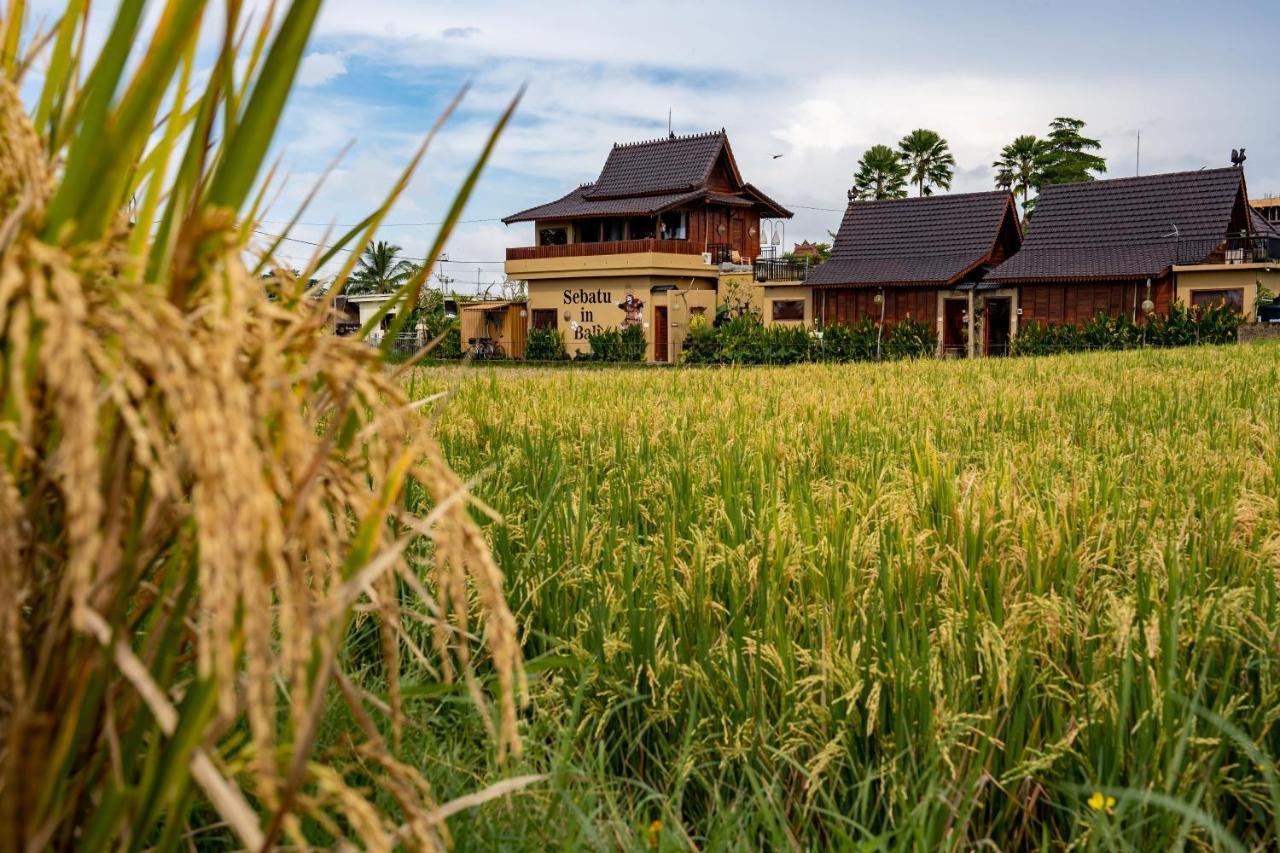 Barong Bali Villas Убуд Екстер'єр фото