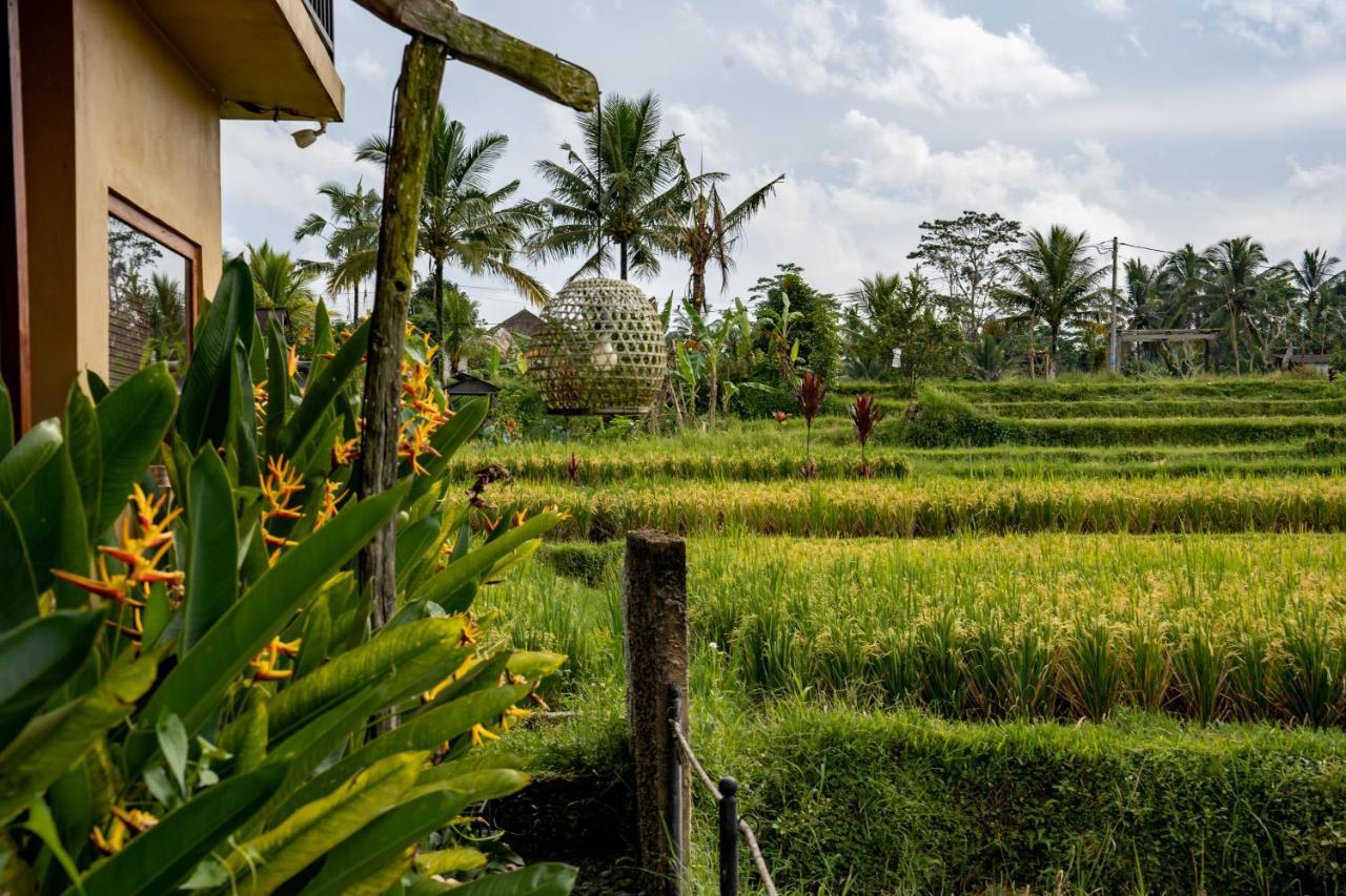 Barong Bali Villas Убуд Екстер'єр фото